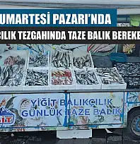 Fethiye Cumartesi Pazarı'nda Yiğit Balıkçılık tezgahında taze balık bereketi