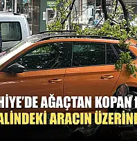Fethiye'de ağaçtan kopan dal park halindeki aracın üzerine düştü