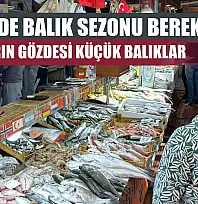 Fethiye'de balık sezonu bereketi: Tezgahların gözdesi küçük balıklar