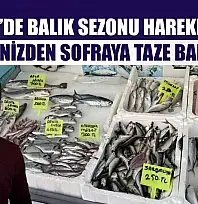 Fethiye'de balık sezonu hareketlendi: Denizden sofraya taze balık