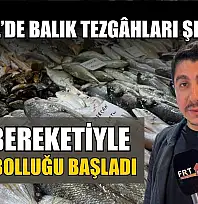 Fethiye'de balık tezgâhları şenlendi: Kış bereketiyle balık bolluğu başladı
