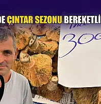 Fethiye'de çıntar sezonu bereketli geçiyor