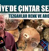 Fethiye'de çıntar sezonu: Tezgahlar renk ve aroma dolu