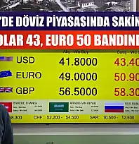 Fethiye'de Döviz Piyasasında Sakin Seyir: Dolar 43, Euro 50 Bandında