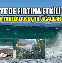 Fethiye'de fırtına etkili oldu: Çalış'ta tabelalar uçtu, ağaçlar kırıldı