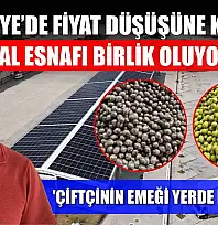 Fethiye'de fiyat düşüşüne karşı hal esnafı birlik oluyor: 'Çiftçinin emeği yerde kalmasın!'