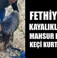 Fethiye'de kayalıklarda mahsur kalan keçi kurtarıldı