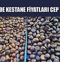 Fethiye'de Kestane Fiyatları Cep Yakıyor