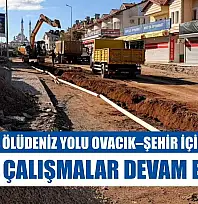 Fethiye'de Ölüdeniz yolu Ovacık–şehir içi etabında çalışmalar devam ediyor