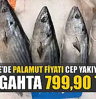 Fethiye'de palamut fiyatı cep yakıyor: Tezgahta 799,90 TL