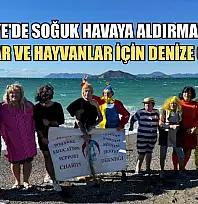 Fethiye'de soğuk havaya aldırmadılar, çocuklar ve hayvanlar için denize girdiler