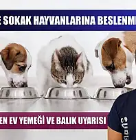 Fethiye'de sokak hayvanlarına beslenme uyarısı! Veterinerden ev yemeği ve balık uyarısı