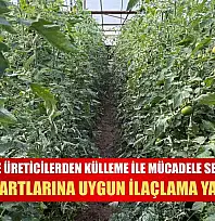 'Fethiye'de üreticilerden külleme ile mücadele seferberliği: AB Standartlarına uygun ilaçlama yapılacak'