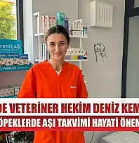 Fethiye'de Veteriner Hekim Deniz Kemaloğlu: 'Kedi ve Köpeklerde Aşı Takvimi Hayati Önem Taşıyor'