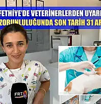 Fethiye'de veterinerlerden uyarı: Mikroçip zorunluluğunda son tarih 31 Aralık 2025