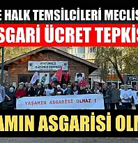 Fethiye Halk Temsilcileri Meclisi'nden asgari ücret tepkisi: 'Yaşamın asgarisi olmaz'