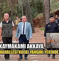 Fethiye Kaymakamı Akkaya, Yanıklar Mahallesi'ndeki yangını yerinde takip etti