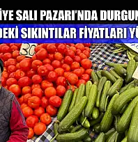 Fethiye Salı Pazarı'nda durgunluk: Üretimdeki sıkıntılar fiyatları yükseltti
