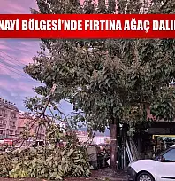 Fethiye Sanayi Bölgesi'nde Fırtına Ağaç Dalını Kopardı