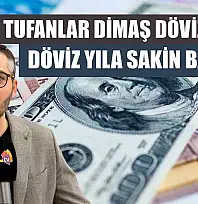 Fethiye Tufanlar Dimaş Döviz: Döviz yıla sakin başladı