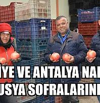 Fethiye ve Antalya Narları Rusya Sofralarında