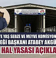 Fethiye Yaş Sebze ve Meyve Komisyoncuları Derneği Başkanı Atabey Akgün'den, Yeni Hal Yasası açıklaması