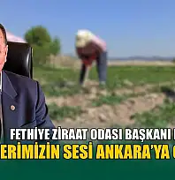 Fethiye Ziraat Odası Başkanı Karayiğit, 'Çiftçilerimizin sesi Ankara'ya gidiyor'