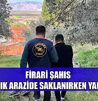 Firari şahıs ormanlık arazide saklanırken yakalandı