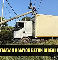 Freni tutmayan kamyon beton direği ikiye böldü