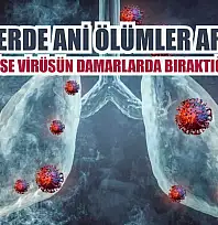 Gençlerde ani ölümler artıyor: 'Nedeni ise virüsün damarlarda bıraktığı hasar'
