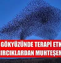 Gökyüzünde terapi etkisi: Sığırcıklardan muhteşem dans