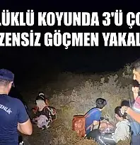Günlüklü koyunda 3'ü çocuk 4 düzensiz göçmen yakalandı