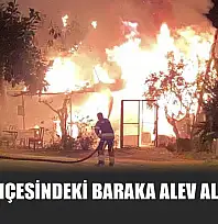 Hobi bahçesindeki baraka alev alev yandı