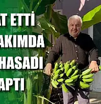 İnat etti, 70 rakımda muz hasadı yaptı