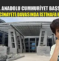 İstanbul Anadolu Cumhuriyet Başsavcılığı, Minguzzi cinayeti davasında istinafa başvurdu
