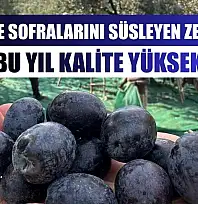İsviçre sofralarını süsleyen zeytinde bu yıl kalite yüksek