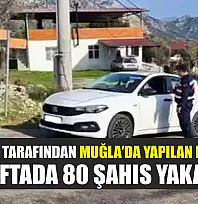 Jandarma tarafından Muğla'da yapılan denetimde bir haftada 80 şahıs yakalandı