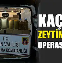 Kaçak zeytinyağı operasyonu