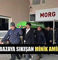 Kafası bazaya sıkışan minik Amine öldü