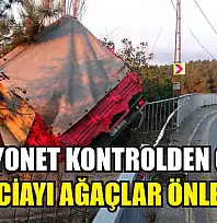 Kamyonet kontrolden çıktı: Faciayı ağaçlar önledi