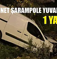Kamyonet şarampole yuvarlandı: 1 yaralı