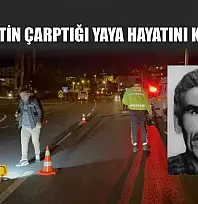 Kamyonetin çarptığı yaya hayatını kaybetti