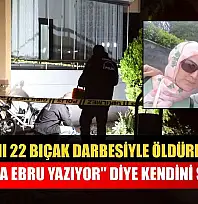 Karısını 22 bıçak darbesiyle öldüren zanlı, 'Kolumda Ebru yazıyo' diye kendini savundu
