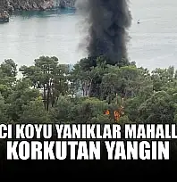 Katrancı Koyu Yanıklar Mahallesi'nde korkutan yangın