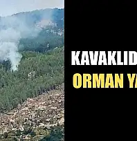 Kavaklıdere'de orman yangını