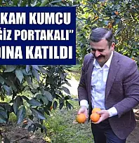 Kaymakam Kumcu, 'Köyceğiz Portakalı' hasadına katıldı