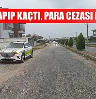 Kaza yapıp kaçtı, para cezası kesildi