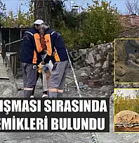 Kazı çalışması sırasında insan kemikleri bulundu