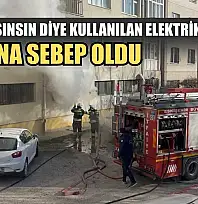 Kediler ısınsın diye kullanılan elektrikli ısıtıcı yangına sebep oldu