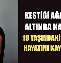 Kestiği ağacın altında kalan 19 yaşındaki genç hayatını kaybetti